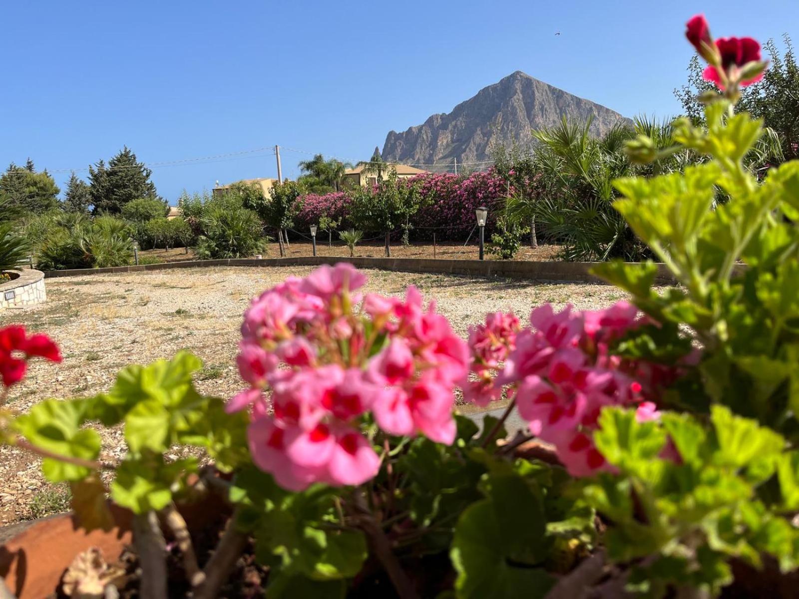 Villa Lea Custonaci Εξωτερικό φωτογραφία