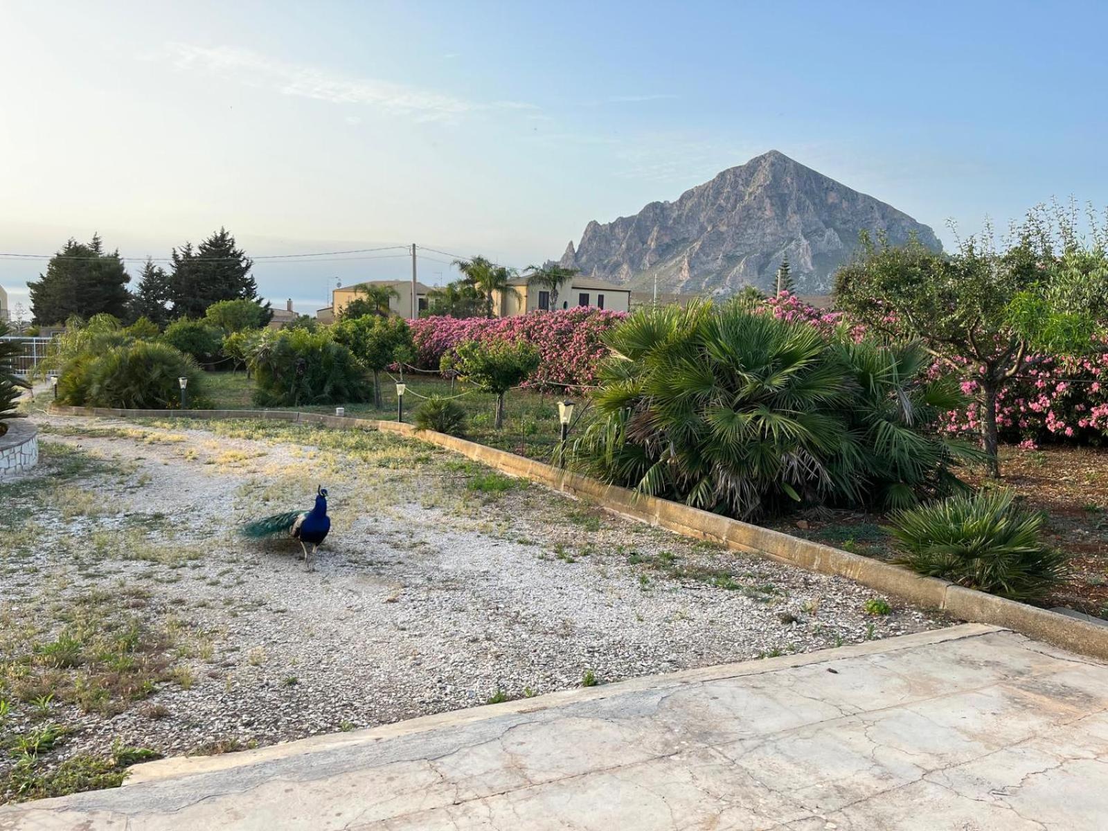 Villa Lea Custonaci Εξωτερικό φωτογραφία